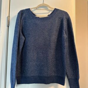Blue Sparkle Women's Sweater